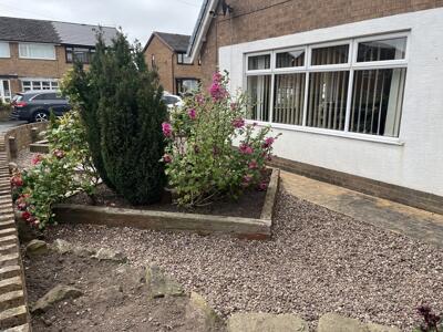 Picture 15